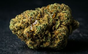 Close up of a cannabis moon rock covered in kief